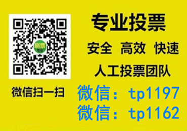 乌兰察布市微信手动投票费多少钱让我告诉你微信投了多少